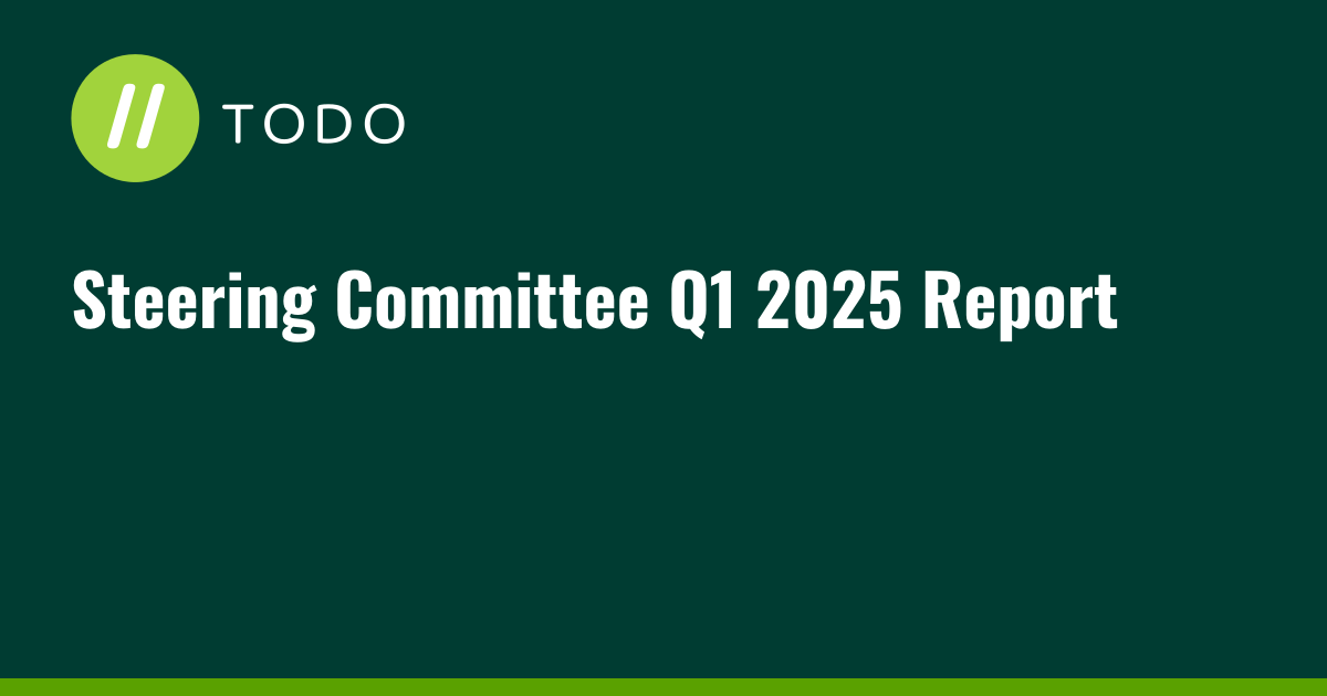 Steering Committee Q1 2025 Report