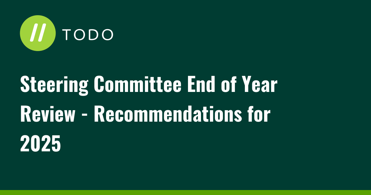 Steering Committee End of Year Review - Recommendations for 2025