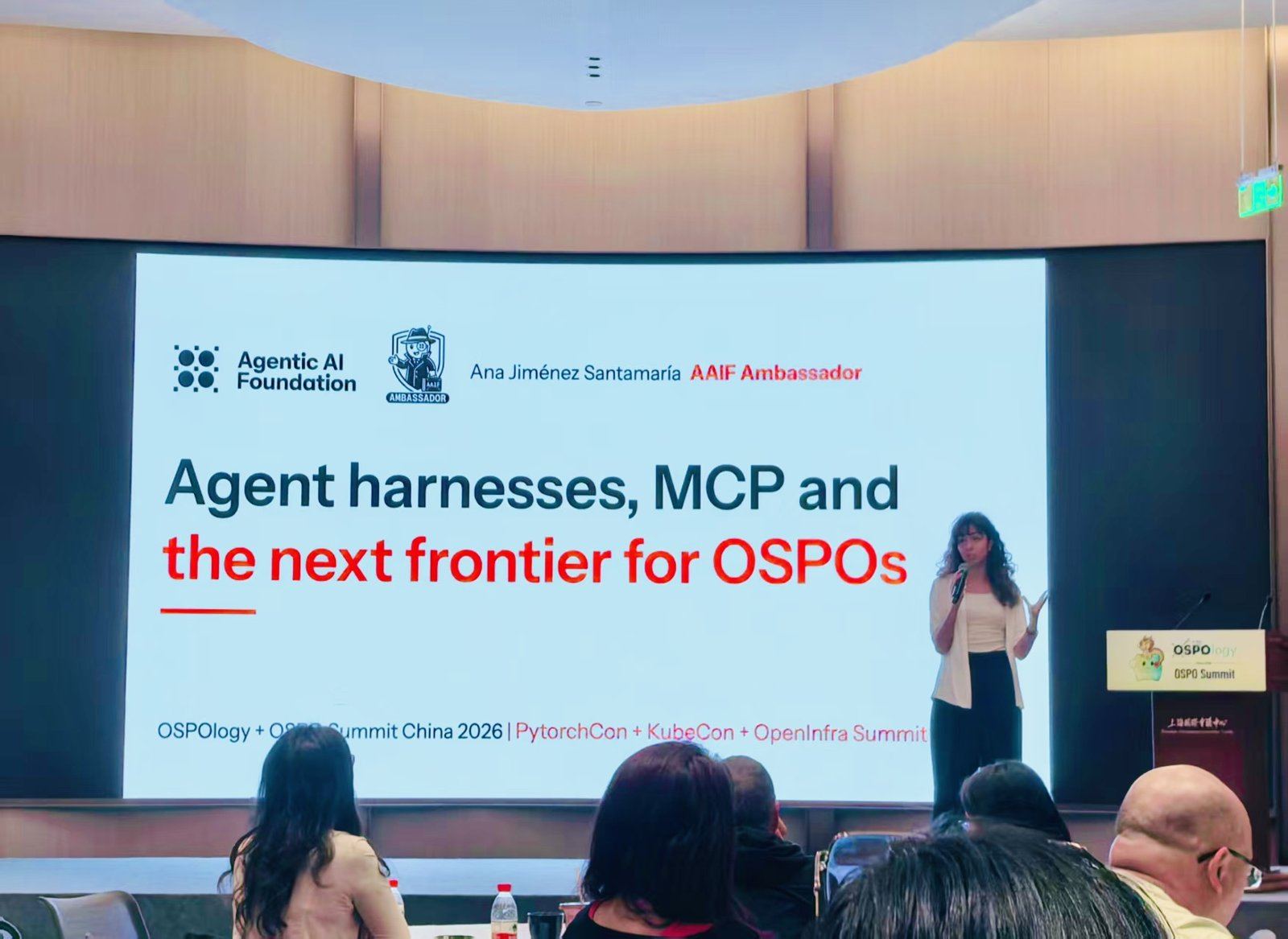 Ana Jiménez Santamaría: agent harnesses and MCP
